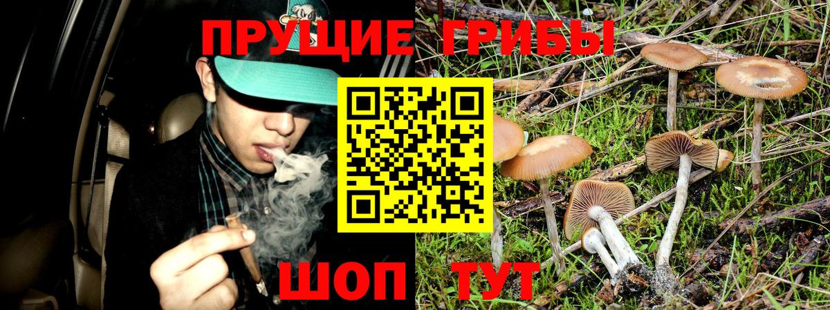 Псилоцибиновые грибы мухоморы Старый Оскол