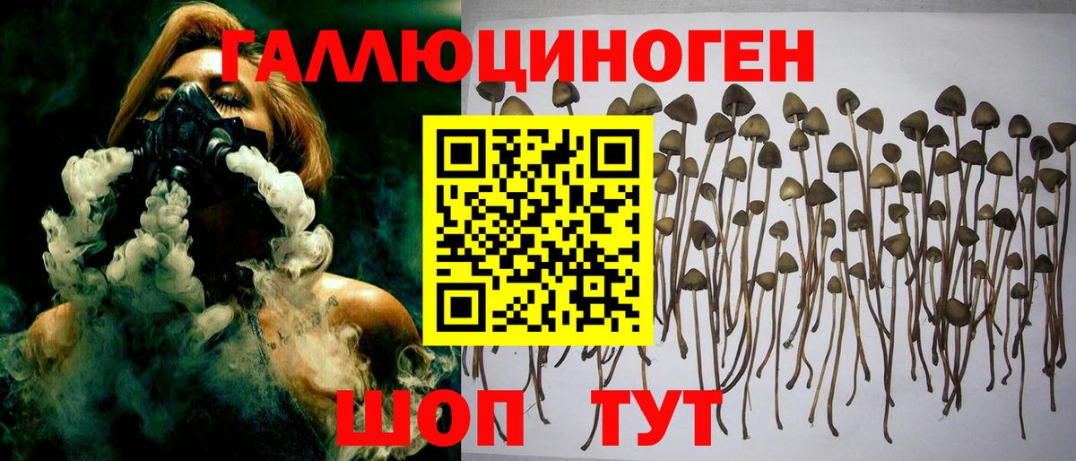 Старый Оскол  магазин  наркотиков  Вход с VPN  Псилоцибиновые грибы Cubensis 